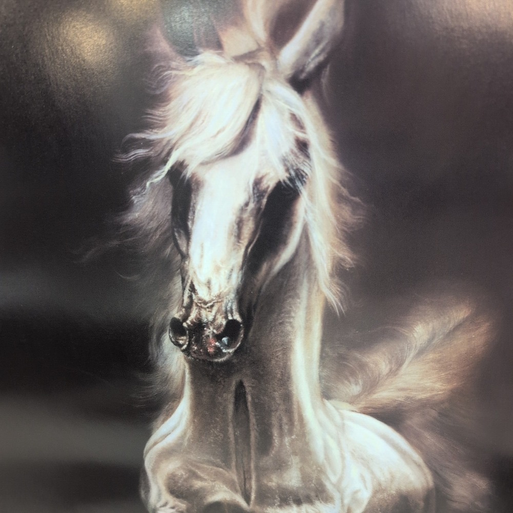 Sonia Torres Arabian Right Horse Artist's Print Torres Signed Numbered Limit Ed‎ - Picture 2 of 7